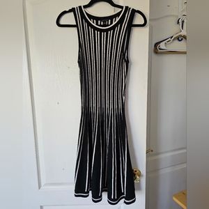 Navy blue and white stretchy cotton Ann Taylor Dress